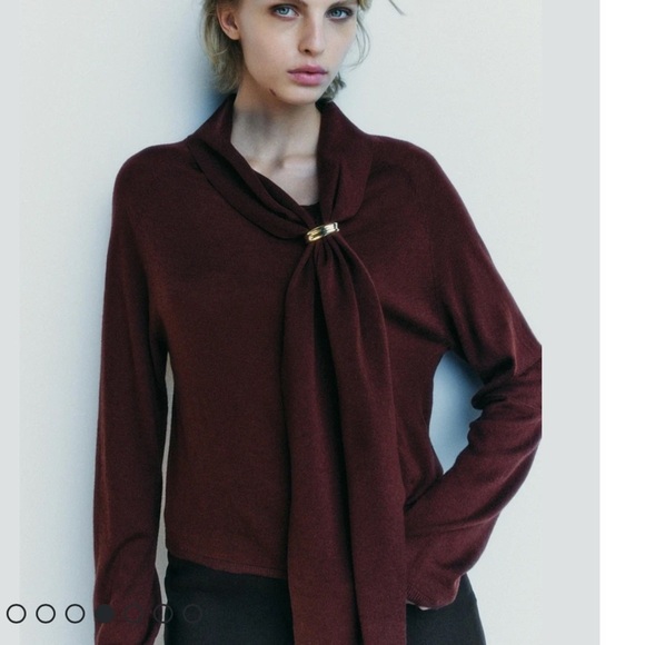 NWT ZARA burgundy WOOL BLEND BROOCH
SWEATER SiZE M
🚨PRICE FIRM NO DISCOUNT - Picture 1 of 8
